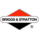 Двигатели Briggs-Stratton в Астрахани